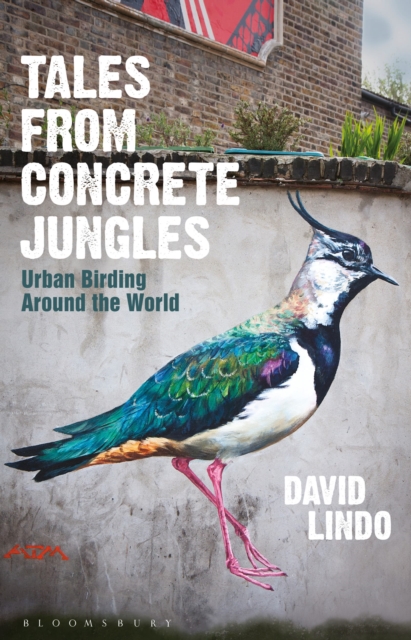 Tales from Concrete Jungles : Urban Birding Around the World, Hardback Book