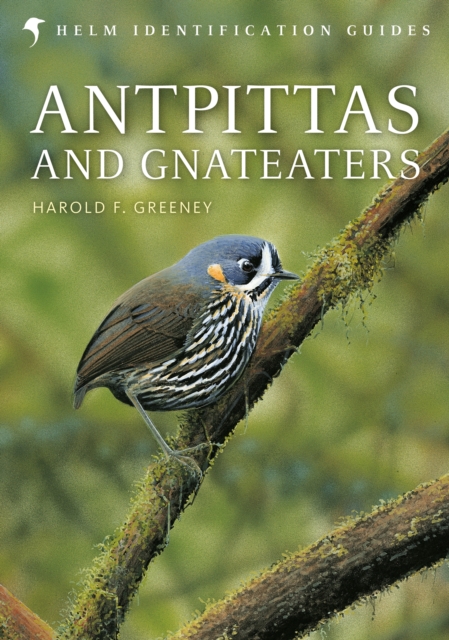 Antpittas and Gnateaters, Hardback Book