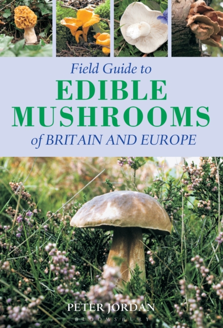 Field Guide to Edible Mushrooms of Britain and Europe, Paperback Book