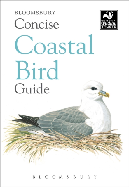 Concise Coastal Bird Guide, Paperback / softback Book