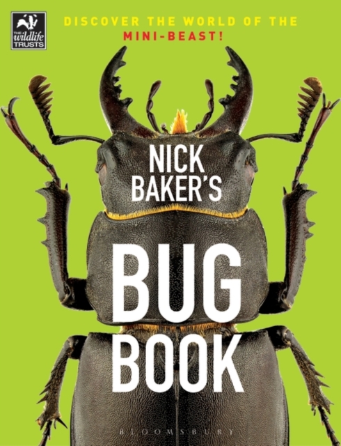 Nick Baker's Bug Book : Discover the World of the Mini-beast!, PDF eBook