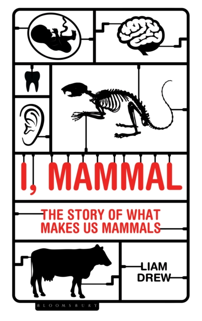 I, Mammal : The Story of What Makes Us Mammals, EPUB eBook