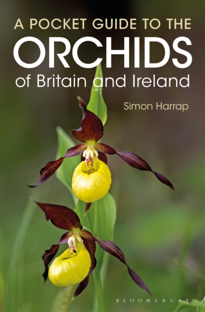 Pocket Guide to the Orchids of Britain and Ireland, EPUB eBook