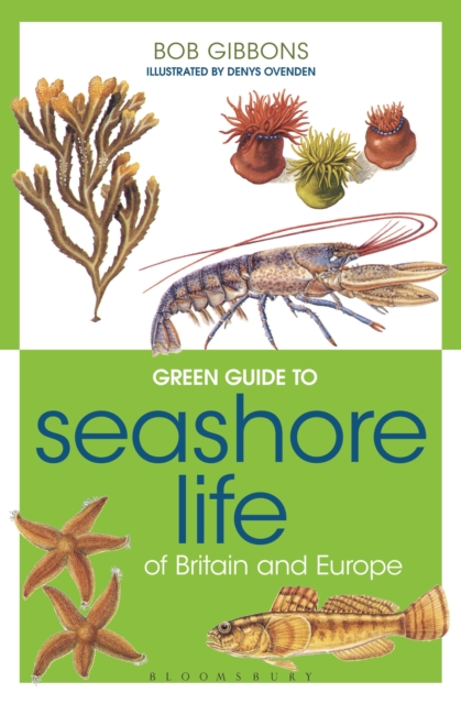 Green Guide to Seashore Life Of Britain And Europe, PDF eBook