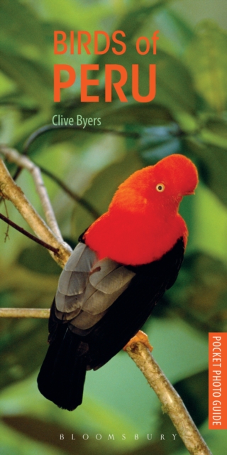 Birds of Peru, Paperback / softback Book