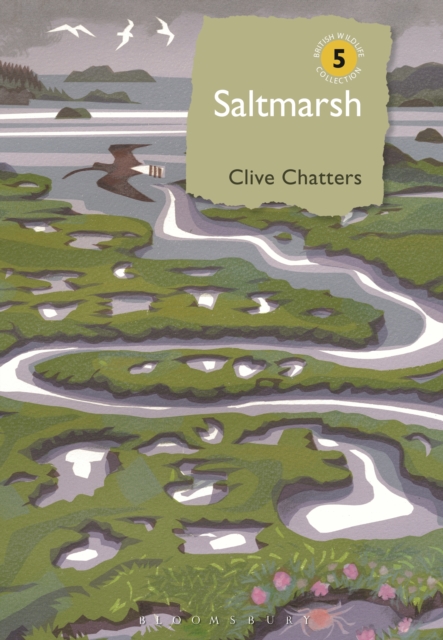 Saltmarsh, EPUB eBook