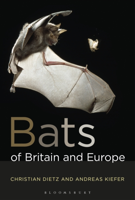 Bats of Britain and Europe, PDF eBook
