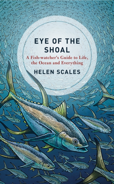 Eye of the Shoal : A Fish-watcher's Guide to Life, the Ocean and Everything, Hardback Book