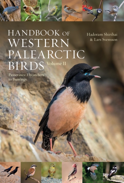 Handbook of Western Palearctic Birds, Volume 2 : Passerines: Flycatchers to Buntings, PDF eBook