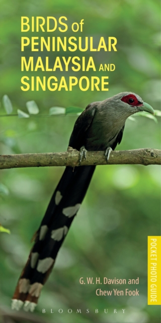 Birds of Peninsular Malaysia and Singapore, Paperback / softback Book