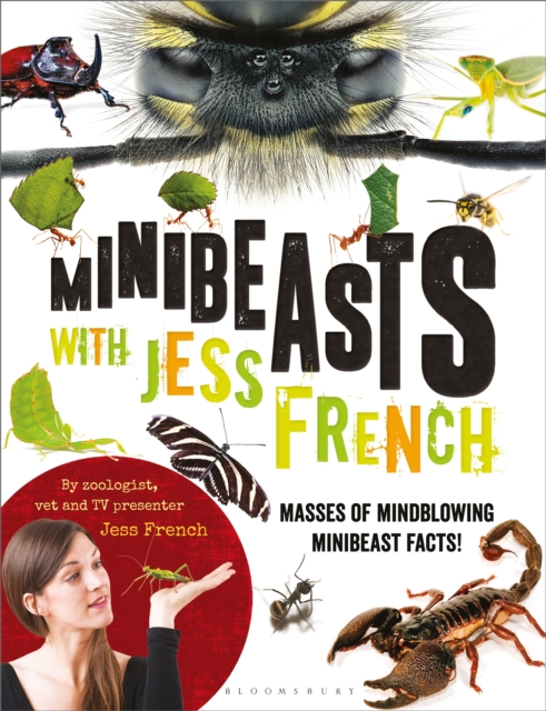 Minibeasts with Jess French : Masses of Mindblowing Minibeast Facts!, EPUB eBook