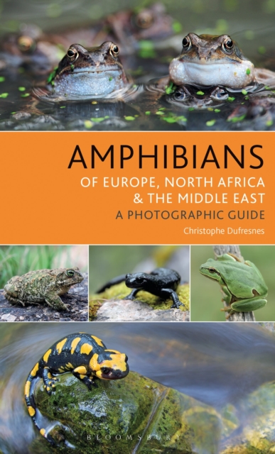 Amphibians of Europe, North Africa and the Middle East : A Photographic Guide, Paperback / softback Book
