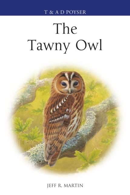 The Tawny Owl, Hardback Book