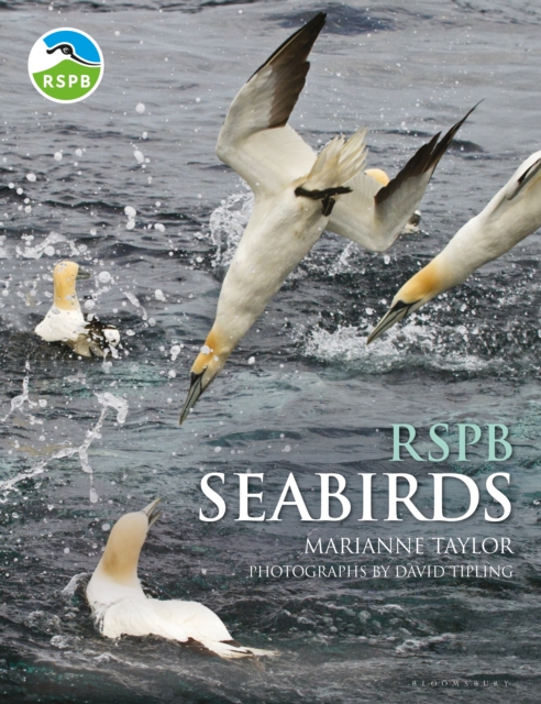 RSPB Seabirds, PDF eBook