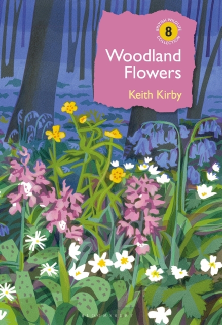 Woodland Flowers : Colourful Past, Uncertain Future, EPUB eBook