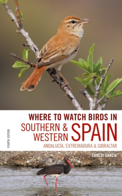 Where to Watch Birds in Southern and Western Spain : Andalucia, Extremadura and Gibraltar, Paperback / softback Book