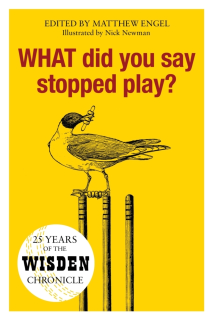 WHAT Did You Say Stopped Play? : 25 Years of the Wisden Chronicle, Hardback Book