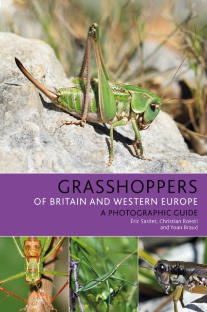 Grasshoppers of Britain and Western Europe : A Photographic Guide, EPUB eBook