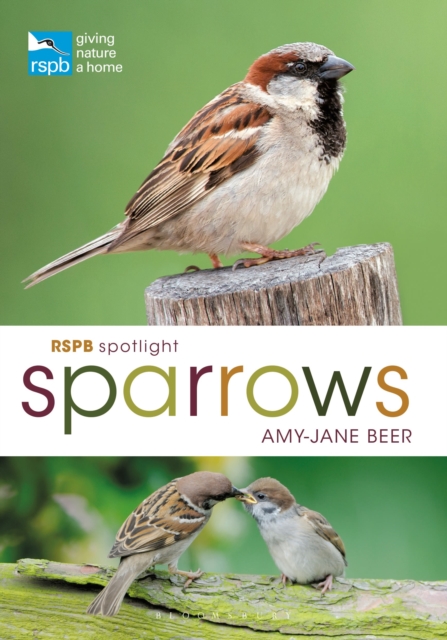 RSPB Spotlight Sparrows, Paperback / softback Book
