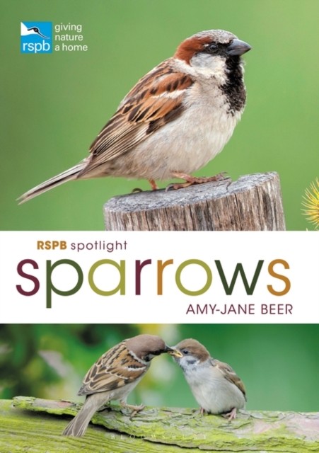 RSPB Spotlight Sparrows, PDF eBook