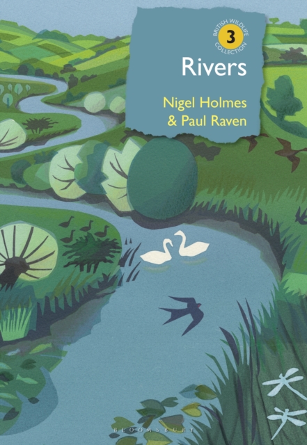 Rivers : A Natural and Not-So-Natural History, PDF eBook