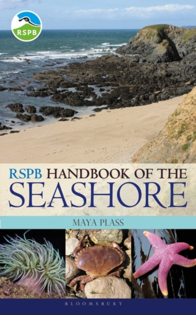 RSPB Handbook of the Seashore, Paperback / softback Book