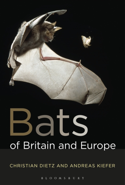 Bats of Britain and Europe, Paperback / softback Book
