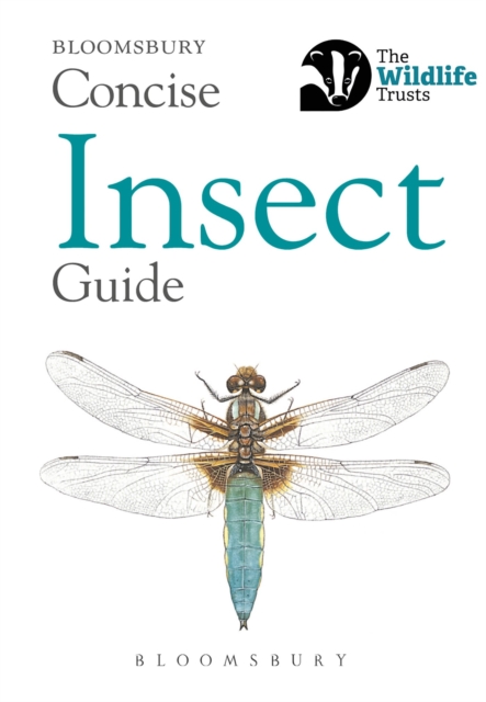 Concise Insect Guide, Paperback / softback Book