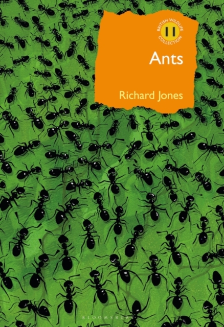 Ants : The Ultimate Social Insects, PDF eBook