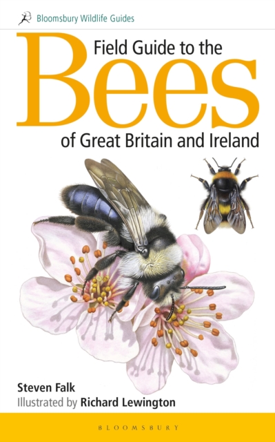 Field Guide to the Bees of Great Britain and Ireland, Paperback / softback Book
