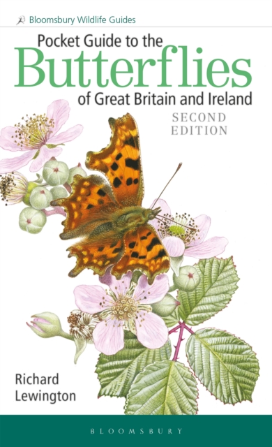 Pocket Guide to the Butterflies of Great Britain and Ireland, Paperback / softback Book