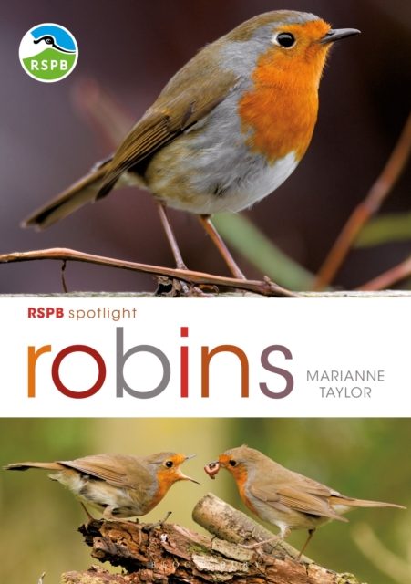RSPB Spotlight: Robins, Paperback / softback Book