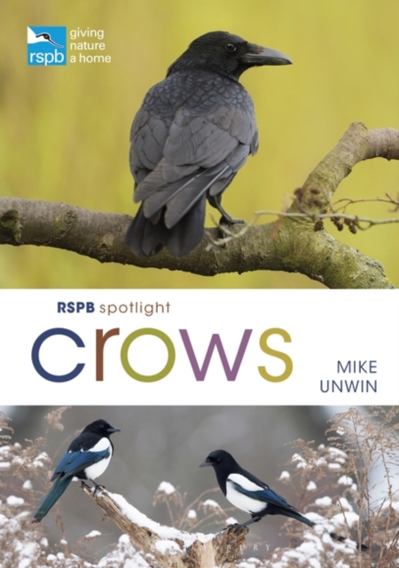 RSPB Spotlight Crows, PDF eBook