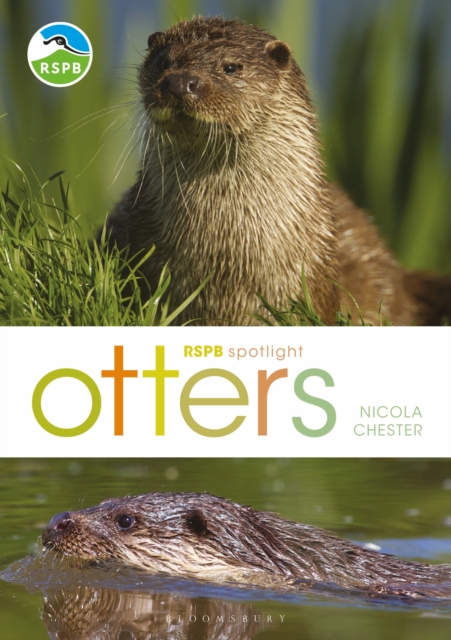 RSPB Spotlight: Otters, Paperback / softback Book
