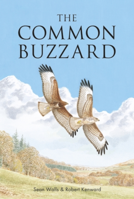 The Common Buzzard, Paperback / softback Book