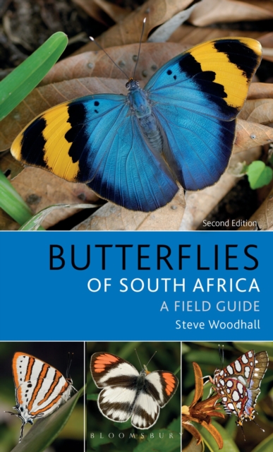 Field Guide to Butterflies of South Africa, Paperback / softback Book
