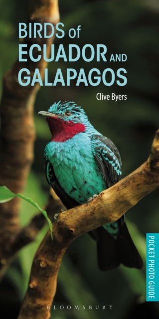 Birds of Ecuador and Galapagos, Paperback / softback Book
