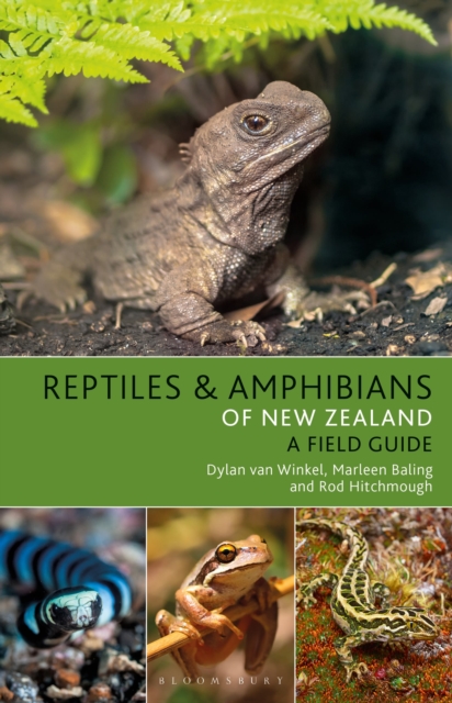 Reptiles and Amphibians of New Zealand, Paperback / softback Book