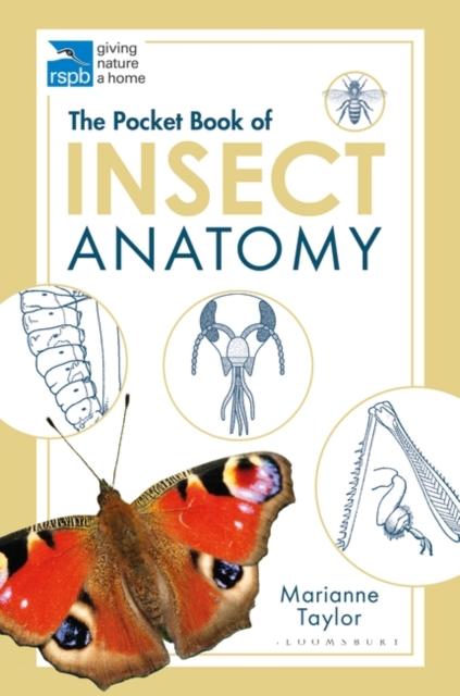 The Pocket Book of Insect Anatomy, EPUB eBook