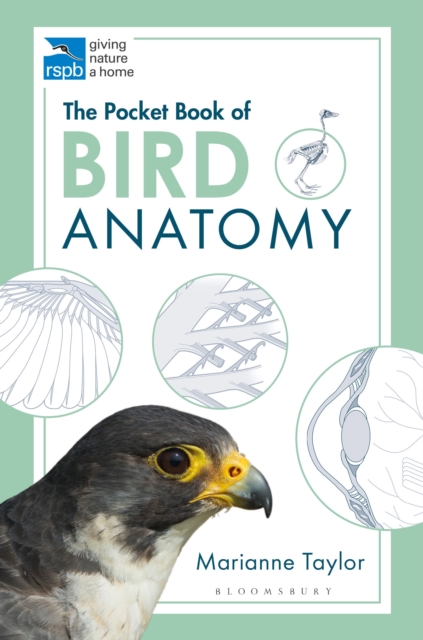 The Pocket Book of Bird Anatomy, Paperback / softback Book