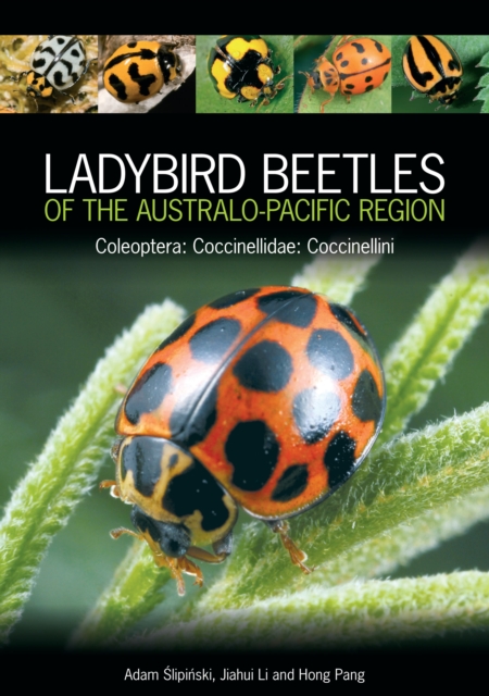 Ladybird Beetles of the Australo-Pacific Region : Coleoptera: Coccinellidae: Coccinellini, Hardback Book