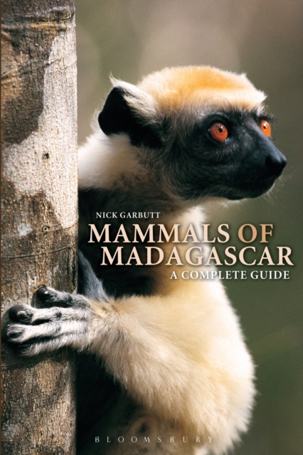Mammals of Madagascar: A Complete Guide, Paperback / softback Book