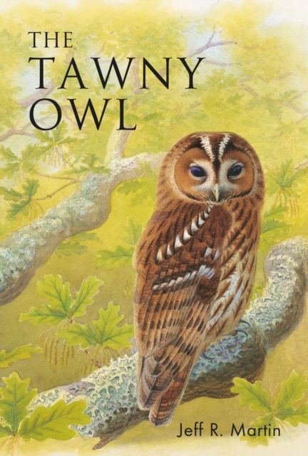 The Tawny Owl, Paperback / softback Book