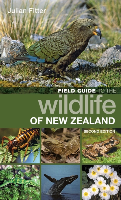 Field Guide to the Wildlife of New Zealand, PDF eBook