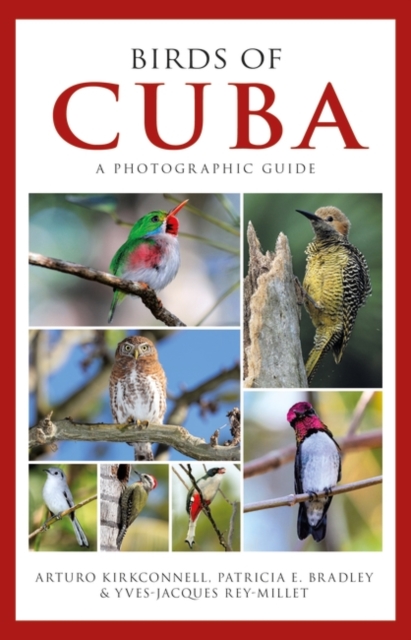 Photographic Guide to the Birds of Cuba, PDF eBook