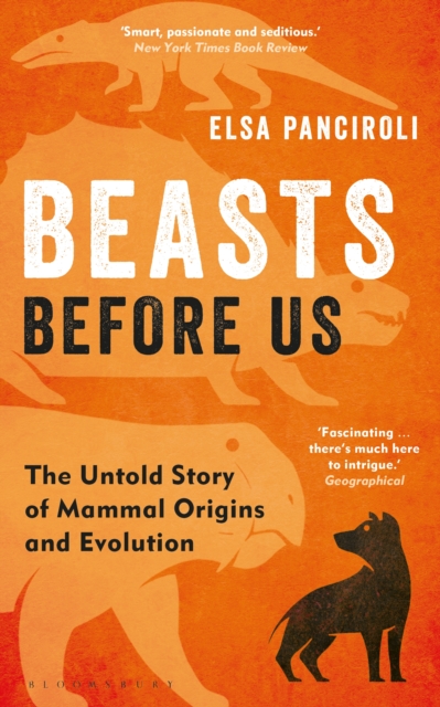 Beasts Before Us : The Untold Story of Mammal Origins and Evolution, EPUB eBook