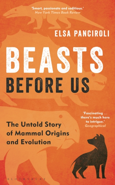Beasts Before Us : The Untold Story of Mammal Origins and Evolution, Paperback / softback Book