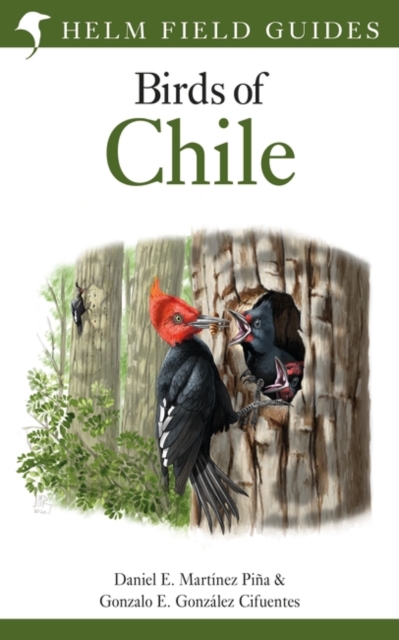 Field Guide to the Birds of Chile, Hardback Book