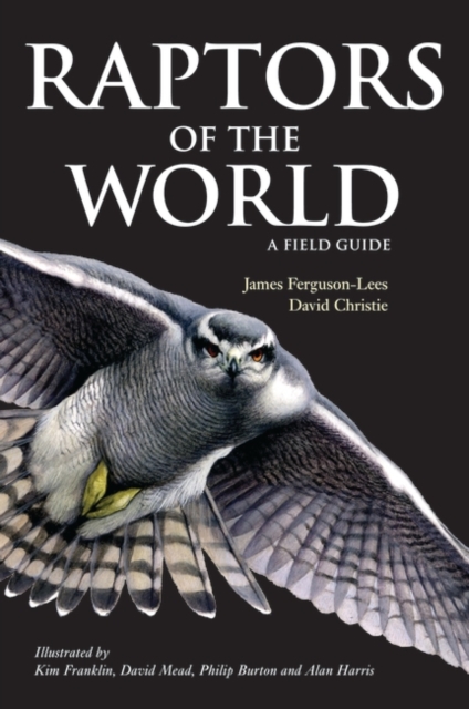 Raptors of the World: A Field Guide, PDF eBook