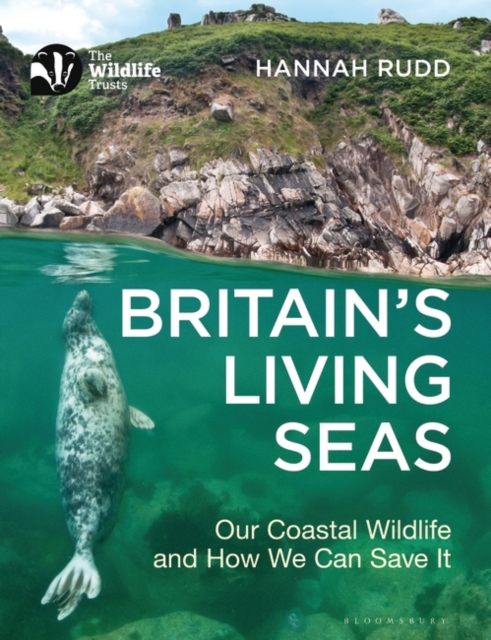 Britain's Living Seas : Our Coastal Wildlife and How We Can Save It, Paperback / softback Book